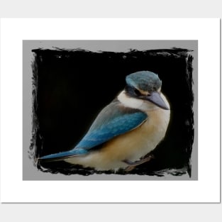 Sacred kingfisher Posters and Art